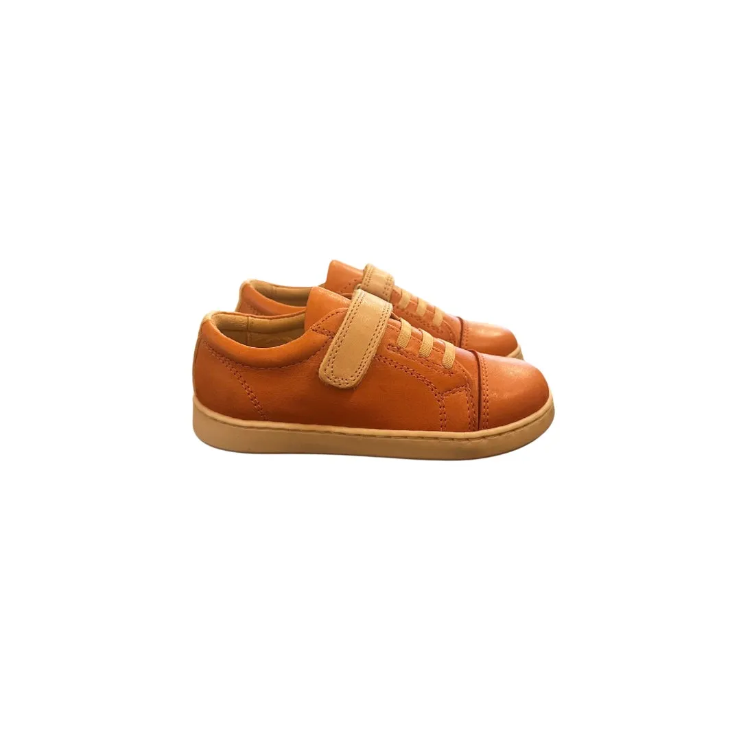 Petasil | Pierre | Coral & Cream