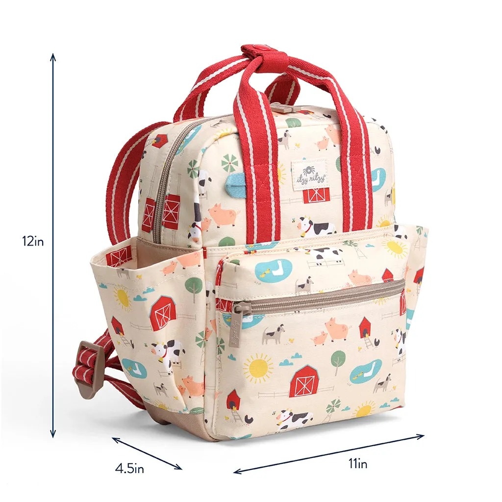 Ribbons   Roses Itzy Bitzy Backpack