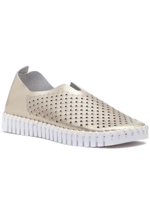 Tulip Shoe - Metallic Platin (Gold)