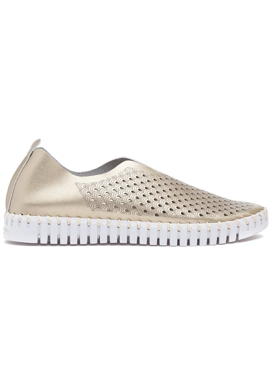 Tulip Shoe - Metallic Platin (Gold)